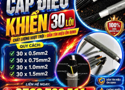 Cáp Điều Khiển 30 Lõi ALTEK KABEL