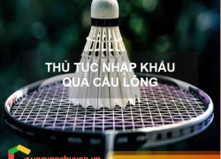 Thủ Tục Nhập Khẩu Quả Cầu Lông