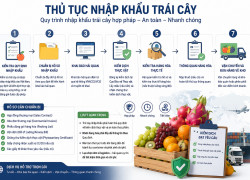 thủ tục nhập khẩu máy ép trái cây