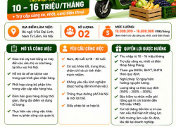 TUYỂN NHÂN VIÊN GIAO HÀNG HÀ NỘI