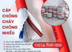 Dây Cáp Chống Cháy Chống Nhiễu 2 Lõi Đà Nẵng, Huế, Hồ Chí Minh