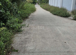 CHÍNH CHỦ BÁN GẤP ĐẤT THỔ CƯ BÌNH CHÁNH – 350M² – GIÁ 5,7 TỶ