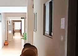 BÁN CĂN HỘ CHUNG CƯ P901 – KĐT MỚI LINH ĐÀM, HOÀNG MAI TRUNG TÂM BÁN ĐẢO LINH ĐÀM