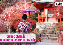 Lịch lá đỏ Nhật Bản 2026 mùa thu và giải pháp kết nối eSIM du lịch