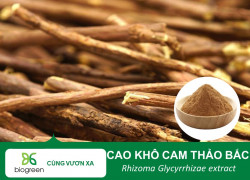 🌿 CAO KHÔ CAM THẢO BIOGREEN – BỔ TỲ, NHUẬN PHẾ & BẢO VỆ DẠ DÀY 🌿