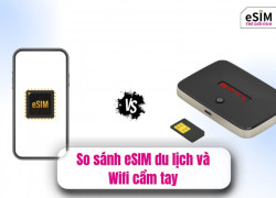 So sánh eSIM du lịch và Wifi cầm tay