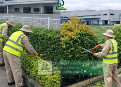 Báo giá cắt cỏ, chăm sóc cảnh quan KCN Long Đức, Đồng Nai
