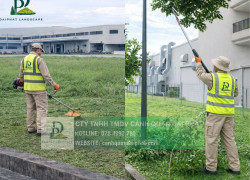 DỊCH VỤ CẮT CỎ – CHĂM SÓC CÂY XANH LỘC AN BÌNH SƠN ĐỒNG NAI