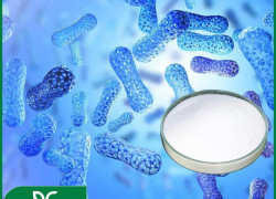 🦠 LACTOBACILLUS ACIDOPHILUS – "TIÊU CHUẨN VÀNG" TRONG MEN VI SINH 🦠