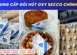 Gói Hút Oxy Secco – Giải Pháp Đóng Gói Cho Bánh Trung Thu Sản Xuất Số Lượng Lớn