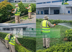 Dịch vụ Cắt cỏ giá rẻ Nhơn Trạch Đồng Nai – Nhanh gọn, sạch sẽ