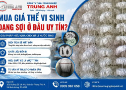 𝐌𝐔𝐀 𝐆𝐈Á 𝐓𝐇Ể 𝐕𝐈 𝐒𝐈𝐍𝐇 𝐃Ạ𝐍𝐆 𝐒Ợ𝐈 Ở ĐÂ𝐔 𝐔𝐘 𝐓Í𝐍?