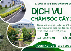 Dịch vụ Cắt cỏ KCN Tam Phước Đồng Nai