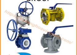 Van nút lót FluoroSeal | FluoroSeal Lined Plug Valve