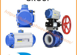 Bộ truyền động khí nén FluoroSeal | FluoroSeal Pneumatic actuation