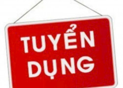 TUYỂN GẤP NAM NỮ PHÒNG KINH DOANH LÀM VIỆC TẠI VĂN PHÒNG