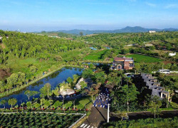 Gia đình cần bán gấp 500m² đất tại TP. Bảo Lộc, sổ sẵn thổ cư, giá chỉ 650 triệu!