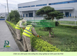 DỊCH VỤ CẮT CỎ – CẮT TỈA CÂY XANH ĐỒNG NAI