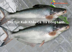 Thủ Tục Xuất Khẩu Cá Tra Đông Lạnh