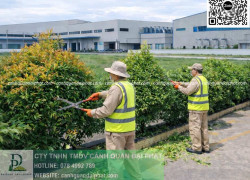 CHĂM SÓC CÂY XANH – BẢO DƯỠNG CẢNH QUAN ĐỒNG NAI