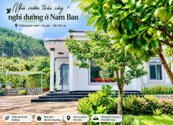 Cần Bán Nhà Đất 987m² Có Sẵn Nhà Cấp 4, Giáp Đồi Thông, Giá 4,7 Tỷ
