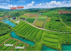 Muốn có một nơi để “trốn phố”? Làng OMM Bảo Lộc đang có 500m² giá 650 triệu