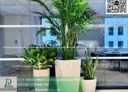 Dịch vụ Chăm sóc cây xanh Văn phòng Đồng Nai