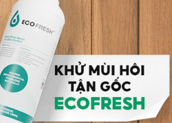 Vi Sinh Khử Mùi Nhà Vệ Sinh ECOFRESH - Xử Lý Mùi Hôi Từ Đường Ống