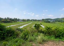 L2977* ĐẤT LÀM NHÀ VƯỜN ĐỈNH cạnh NGUYỄN THỊ RÀNH, NHUẬN ĐỨC, CỦ CHI - GIÁ 10.X TỶ