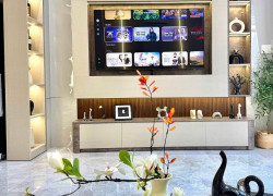 Tấm than tre ốp tường phòng khách cao cấp