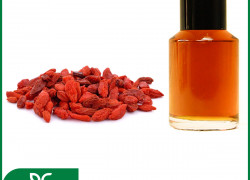 🍒 CHIẾT XUẤT KỶ TỬ BIOGREEN – "SIÊU QUẢ CHỐNG LÃO HÓA" TRONG MỸ PHẨM 🍒