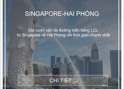 Giá Cước Vận Tải Đường Biển Hàng Lẻ Từ Singapore Về Hải Phòng