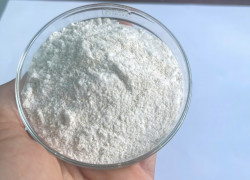 SACCHAROMYCES CEREVISIAE – Nấm men đậm đặc Ấn Độ