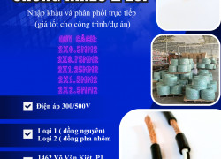 Cáp điều khiển Sangjin 2 lõi có lưới chống nhiễu sẵn Hồ Chí Minh