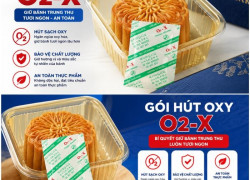GÓI HÚT OXY BÁNH TRUNG THU – KHỬ OXY, HỖ TRỢ CHỐNG MỐC