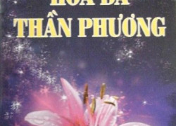 Dịch sách thuốc tiếng Hoa, dịch sách đông y tiếng Hoa, dịch sách thuốc chữ hán