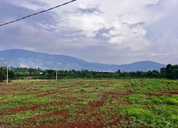 Cần Bán Đất Đông Thanh 350m², Mặt Đường Nhựa 8m, View Nam Ban, Đất Bằng Phẳng