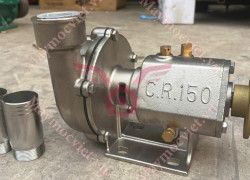 Sên bơm nước inox CR150