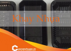 Thủ tục nhập khẩu khay, hộp, chén, dĩa đựng thức ăn bằng nhựa