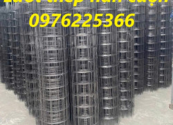 Cung cấp lưới thép hàn tại Ninh Bình