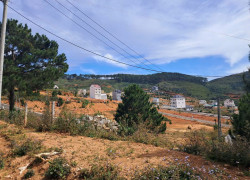 Bán Đất Lớn Lang biang 53,000 m2
