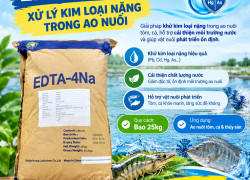 EDTA 4Na TQ Bao 25KG – Xử Lý Kim Loại Nặng Trong Ao Nuôi