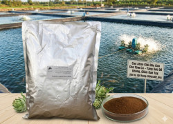 CAO ATISO 1KG – Hỗ Trợ Gan Tụy, Giải Độc, Tăng Sức Đề Kháng Cho Tôm