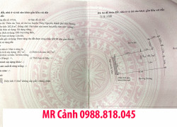 Phát mại 263m2 đất cạnh KCN VSHIP, THỦY NGUYÊN, HẢI PHÒNG