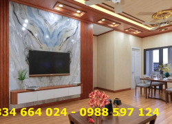 Tấm ốp tường phòng khách đẹp