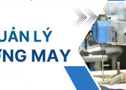 Tuyển quản lý xưởng may có kinh nghiệm