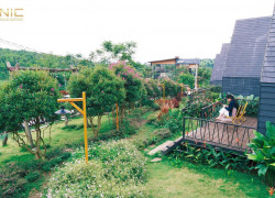🌿 LÀNG OMM BÊN ĐỒI CHÈ | DUY NHẤT 01 LÔ