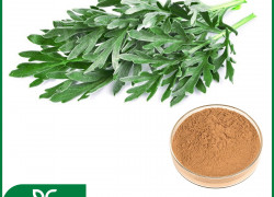 🌿 CAO KHÔ NGẢI CỨU BIOGREEN – ÔN KINH, CHỈ HUYẾT & ĐIỀU HÒA KINH NGUYỆT 🌿