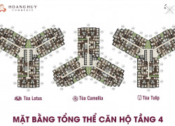 BÁN CĂN 2N2wc TULIP – HOÀNG HUY COMMERCE – VIEW TRỌN THÀNH PHỐ 🔥
