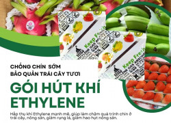 Gói Hút Ethylene Secco Giúp Bảo Quản Trái Cây Tươi Lâu